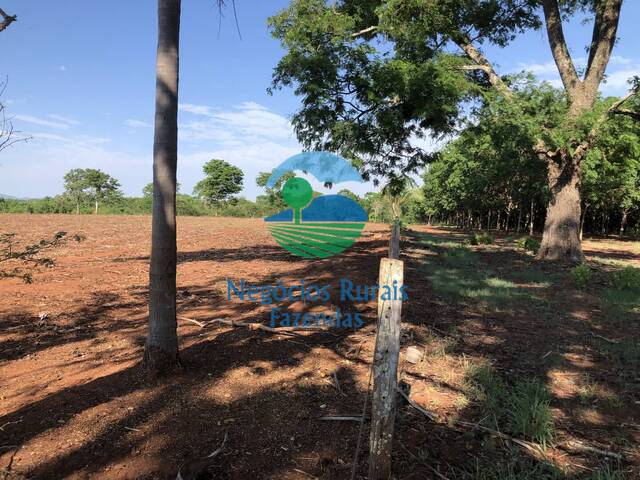 Fazenda para Venda em Palmeirópolis - 5