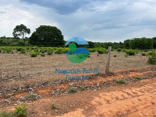 Fazenda para Venda em São Valério da Natividade - 5