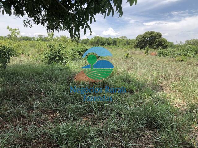 Fazenda para Venda em Palmeirópolis - 5