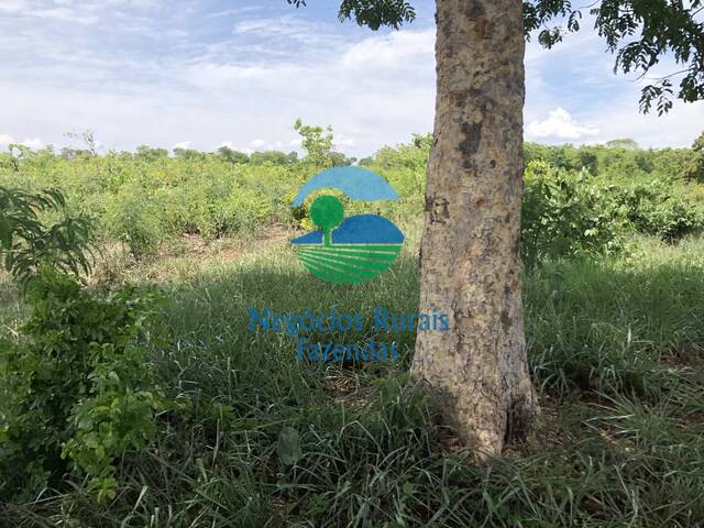 Fazenda para Venda em Palmeirópolis - 2