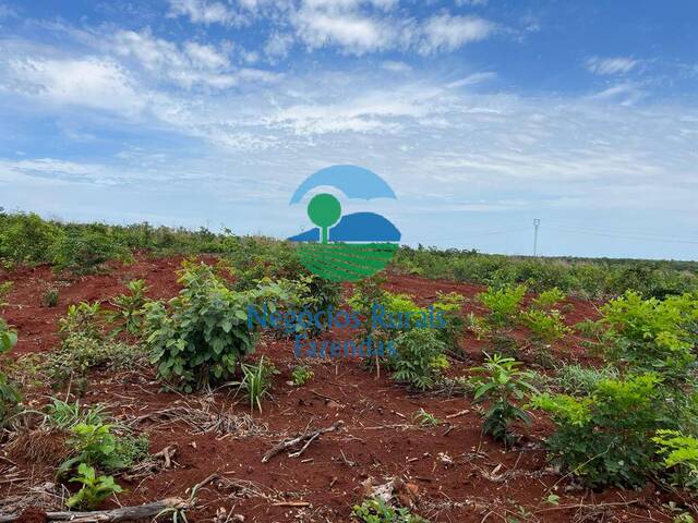 Fazenda para Venda em Jaú do Tocantins - 5