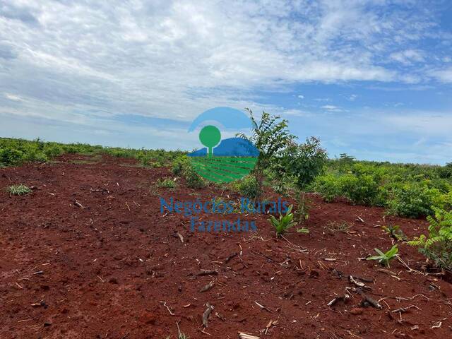 Fazenda para Venda em Jaú do Tocantins - 4