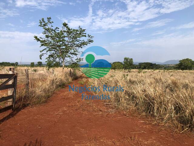 Fazenda para Venda em Palmeirópolis - 2