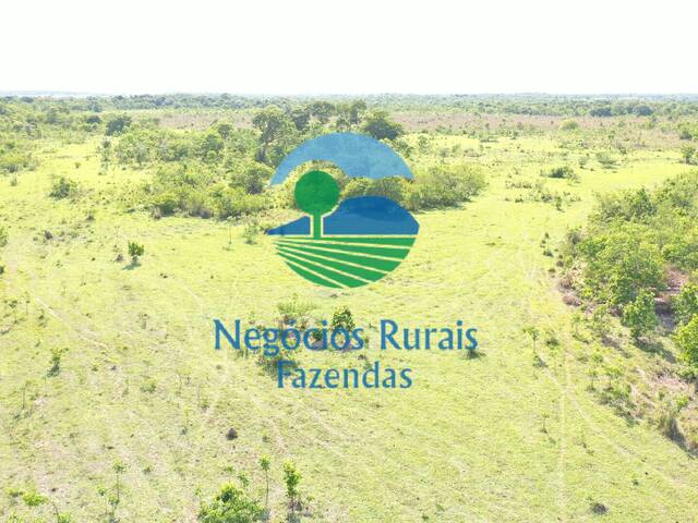 Fazenda para Venda em Almas - 5