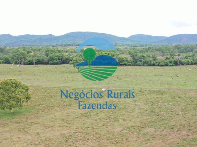 Fazenda para Venda em Palmeirópolis - 4