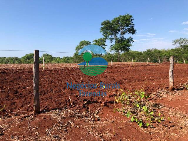 Venda em Zona rural - Palmeirópolis