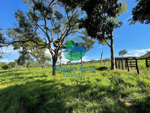 Fazenda para Venda em Campinaçu - 4