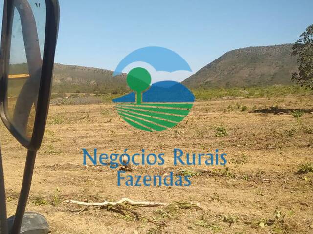 Fazenda para Venda em Uruaçu - 4