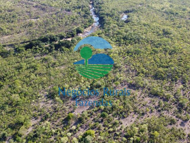 Fazenda para Venda em Paranã - 5