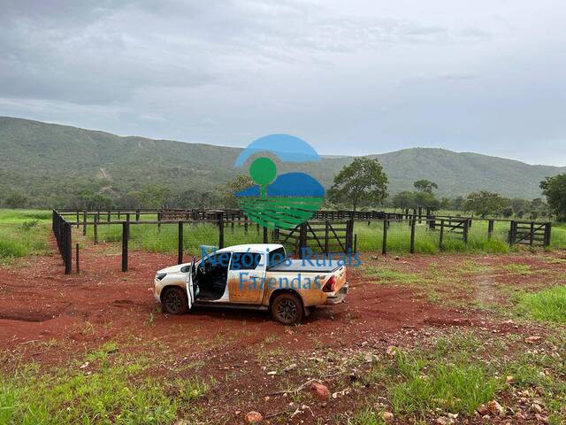 Fazenda para Venda em Pirenópolis - 4