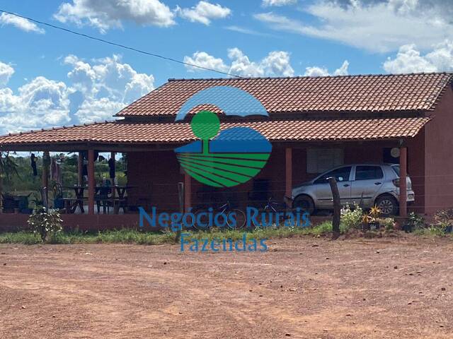 Fazenda para Venda em São Valério da Natividade - 4