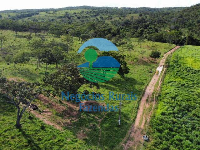 Fazenda para Venda em Pires do Rio - 5