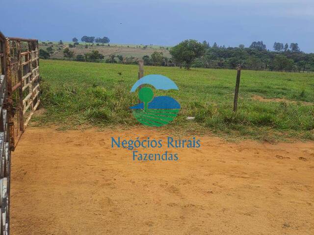 Fazenda para Venda em Cocalzinho de Goiás - 4