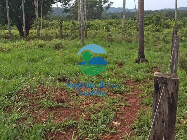 #308 - Fazenda para Venda em Cumaru do Norte - PA - 3