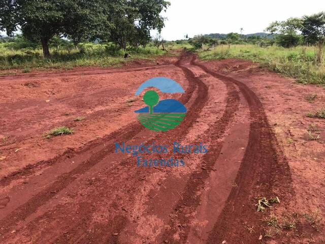 #308 - Fazenda para Venda em Cumaru do Norte - PA - 2