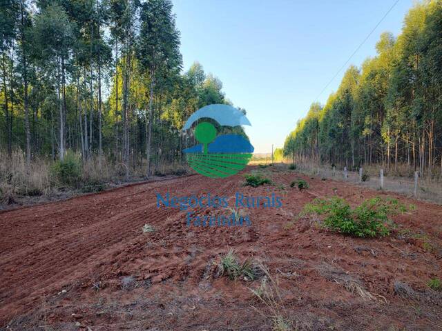 Fazenda para Venda em Araguaína - 3