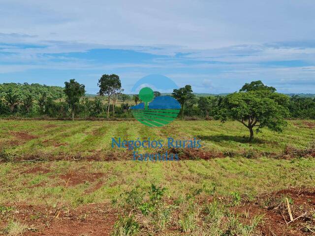 Fazenda para Venda em Araguaína - 4