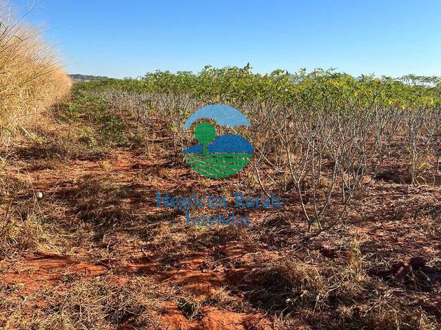 #360 - Fazenda para Venda em São Francisco de Goiás - GO - 1