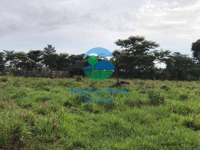 #372 - Fazenda para Venda em Cumaru do Norte - PA