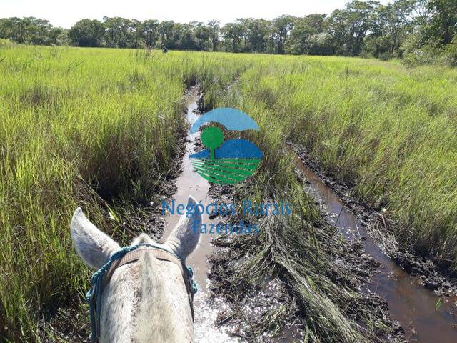 #377 - Fazenda para Venda em Poconé - MT - 2