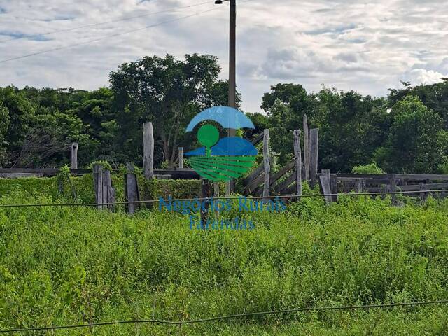 #378 - Fazenda para Venda em Araguaiana - MT - 3