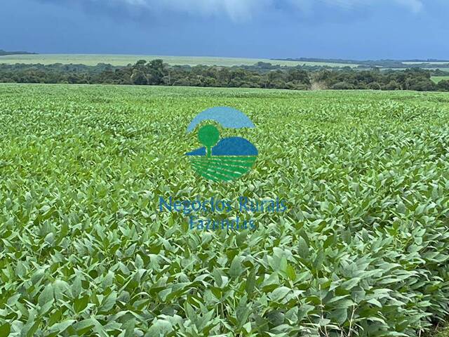 #382 - Fazenda para Venda em Novo Horizonte do Norte - MT - 1