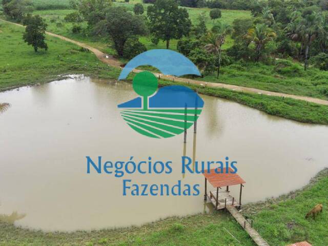 #397 - Fazenda para Venda em Colinas do Sul - GO - 3