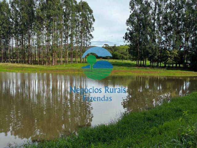 Venda em ZONA RURAL - Padre Bernardo