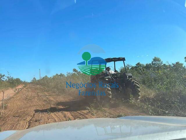 #437 - Fazenda para Venda em Ponte Alta do Tocantins - TO - 3