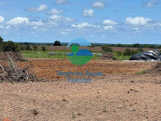 #439 - Fazenda para Venda em Formoso do Araguaia - TO - 3