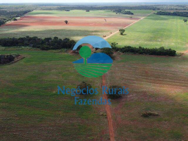 #439 - Fazenda para Venda em Formoso do Araguaia - TO - 2