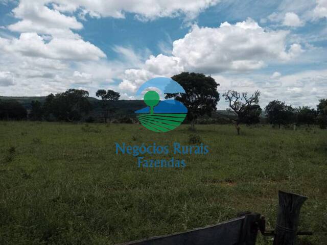 Fazenda para Venda em Buritis - 4