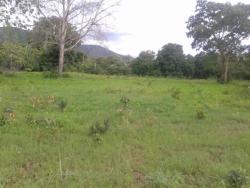 Fazenda para Venda em Niquelândia - 4