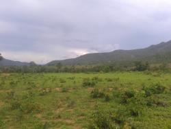 Fazenda para Venda em Niquelândia - 5