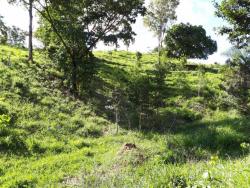 Fazenda para Venda em Bonópolis - 4